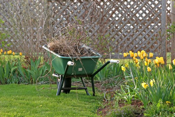 Flower Bed Cleanup Service in Mechanicsville
