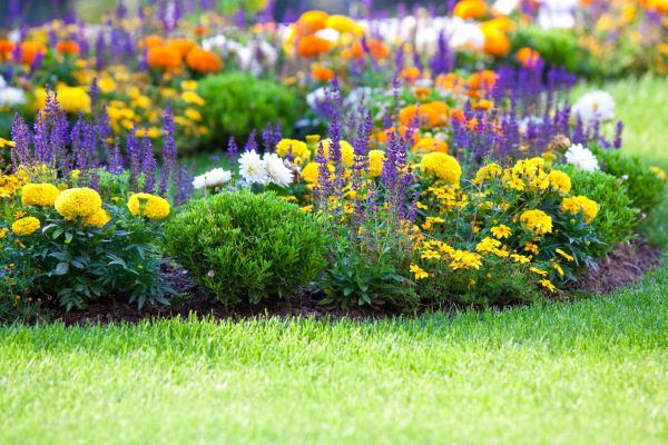 Flower Bed Maintenance in Mechanicsville