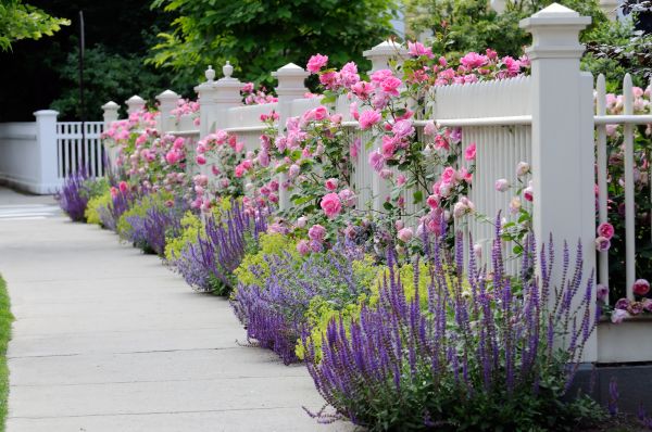 Garden Handyman Service in Mechanicsville