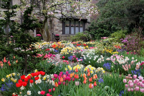 Garden Maintenance Service in Mechanicsville