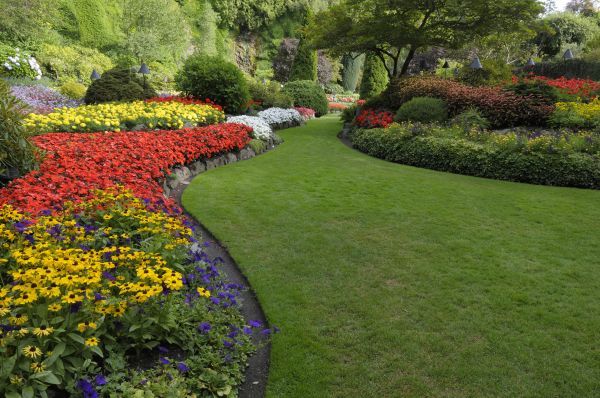 Landscaping Maintenance in Mechanicsville