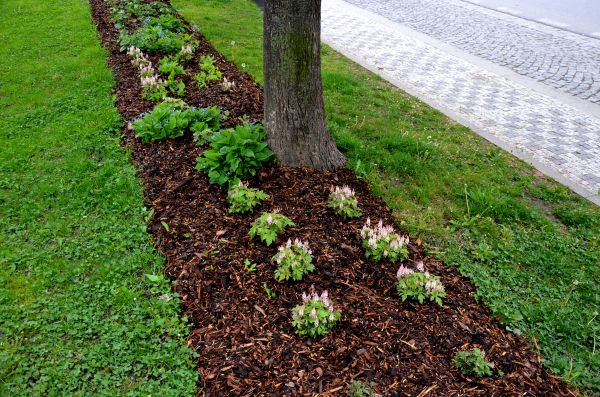 Mulch Replacement Service in Mechanicsville