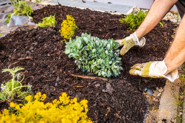 Weeding And Mulching in Mechanicsville