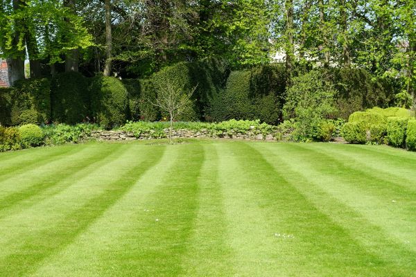 Lawn Renovation in Mechanicsville