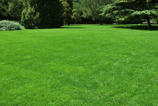 Lawn Landscaping in Mechanicsville