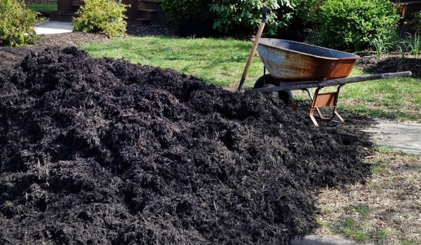 Black Mulch Delivery in Mechanicsville