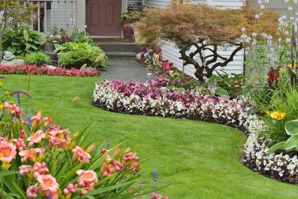 Perennial Landscaping in Mechanicsville