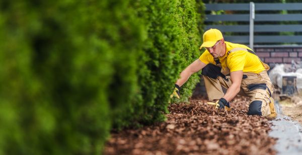 Cypress Mulch Installation in Mechanicsville