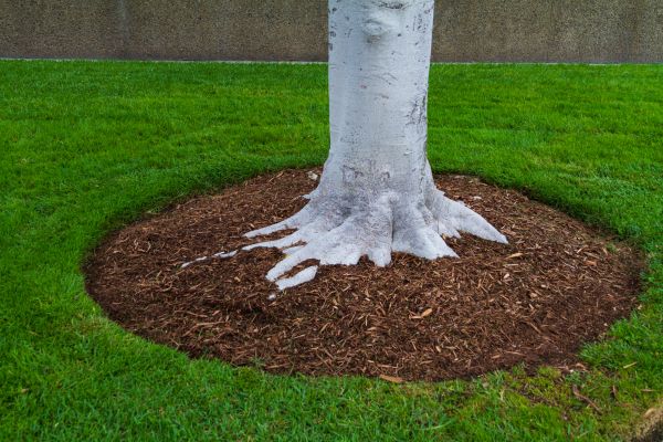 Brown Mulch Installation in Mechanicsville