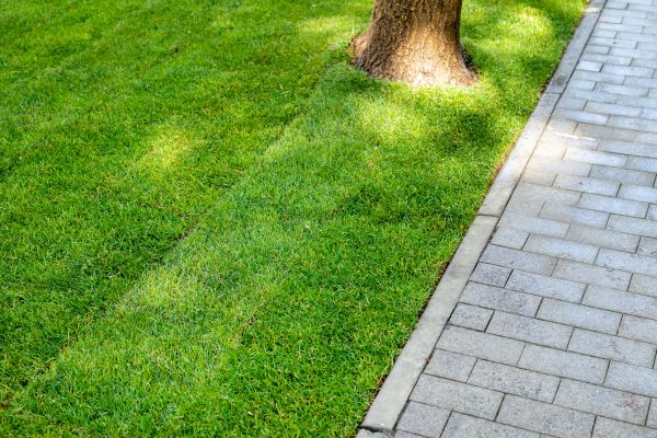 Border Stone Installation in Mechanicsville