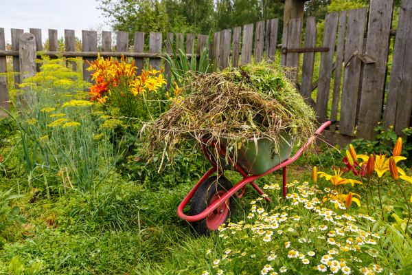 Garden Cleanup Service in Mechanicsville