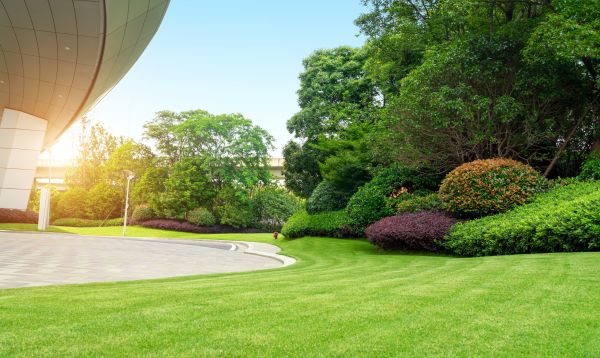 Business Landscape Design in Mechanicsville