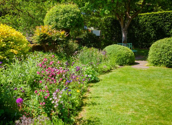 Yard Landscaping Service in Mechanicsville