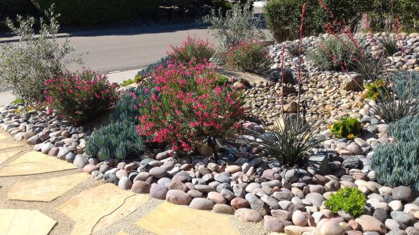 Xeriscape Landscaping in Mechanicsville