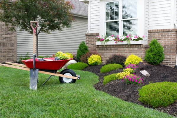 Tree And Shrub Planting in Mechanicsville