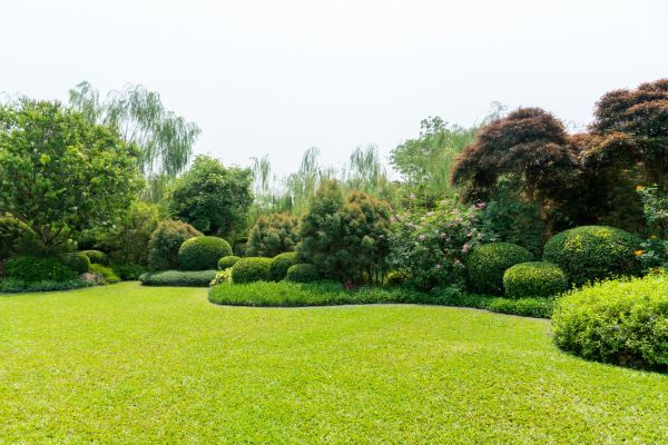 Tree Landscaping in Mechanicsville