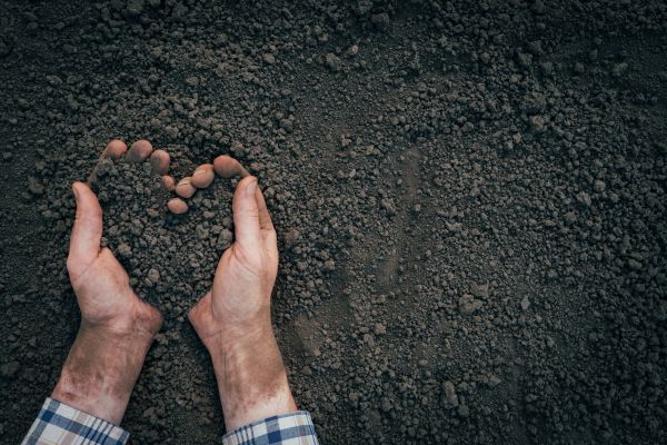 Soil Installation in Mechanicsville