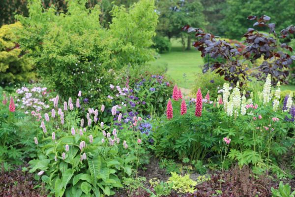 Flower Bed Planting in Mechanicsville