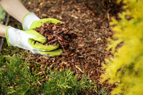 Garden Mulch Delivery in Mechanicsville