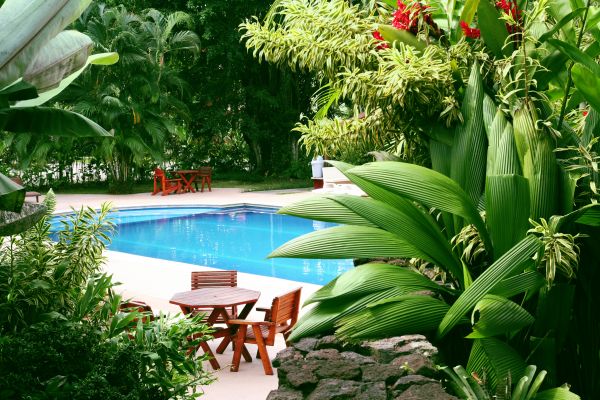 Tropical Garden Landscaping in Mechanicsville