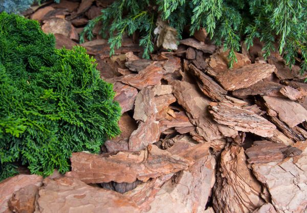 Pine Bark Installation in Mechanicsville