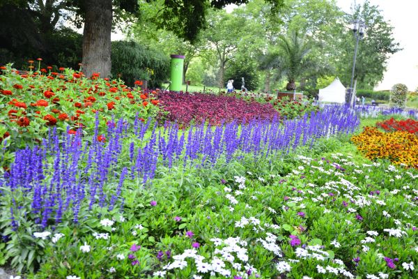 Perennials Planting in Mechanicsville