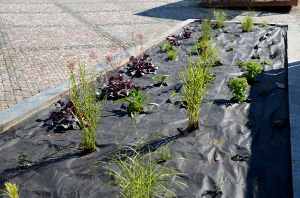 Landscape Fabric Installation in Mechanicsville