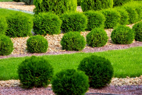 Bush Installation in Mechanicsville