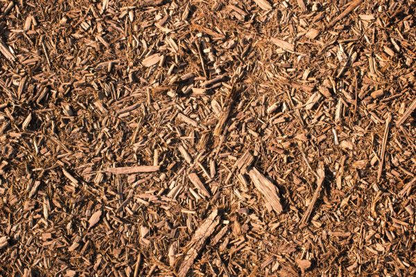 Wood Chips Removal in Mechanicsville