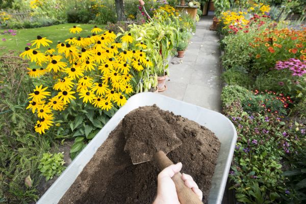Topsoil Replacement in Mechanicsville