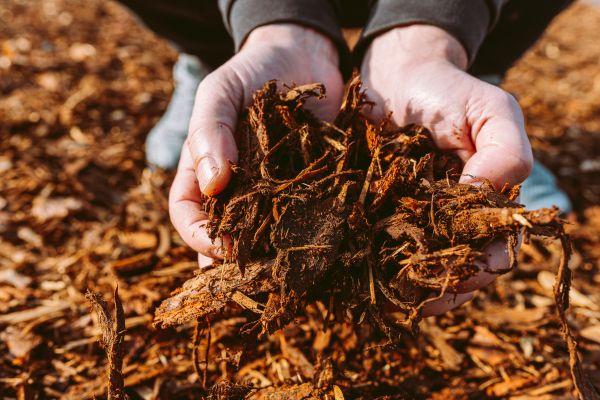 Bark Chips Delivery in Mechanicsville