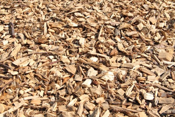 Wood Mulch Delivery in Mechanicsville
