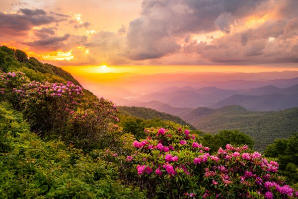 Hill Landscaping in Mechanicsville