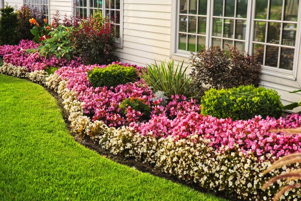House Landscaping in Mechanicsville