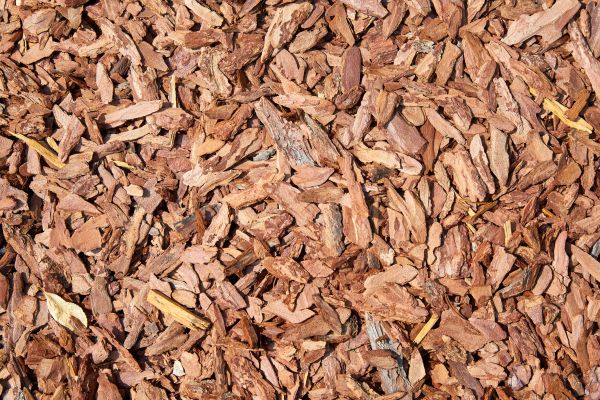 Pine Mulch Delivery in Mechanicsville