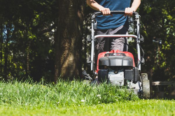 Garden Trimming Service in Mechanicsville
