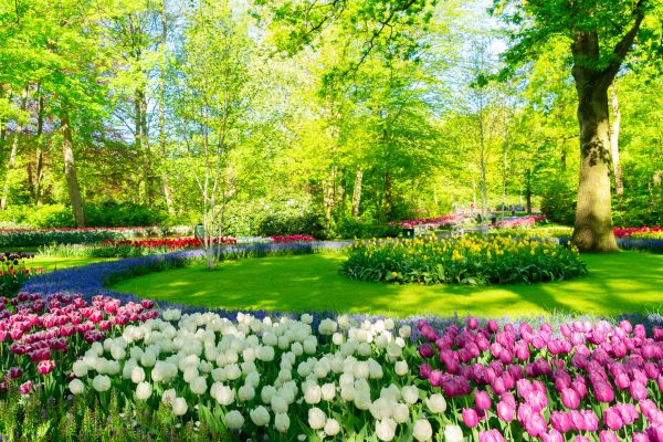 Flower Landscaping in Mechanicsville