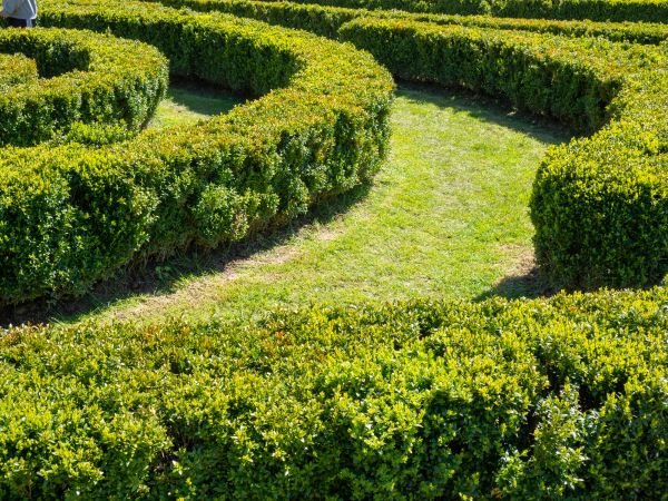 Bush Landscaping in Mechanicsville
