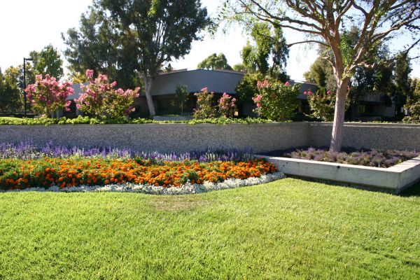 Commercial Landscape Service in Mechanicsville