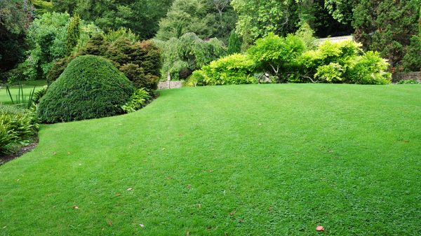 Commercial Landscape Design in Mechanicsville