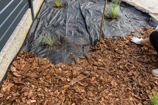 Pine Bark Spreading in Mechanicsville