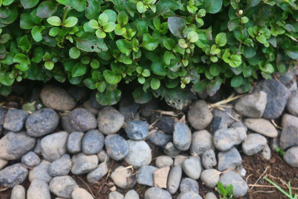 River Stone Installation in Mechanicsville