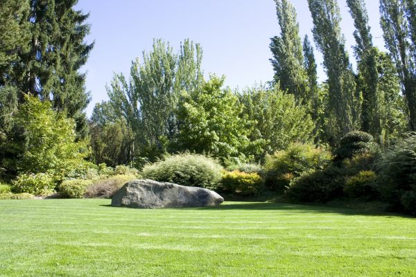 Yard Enlargement in Mechanicsville