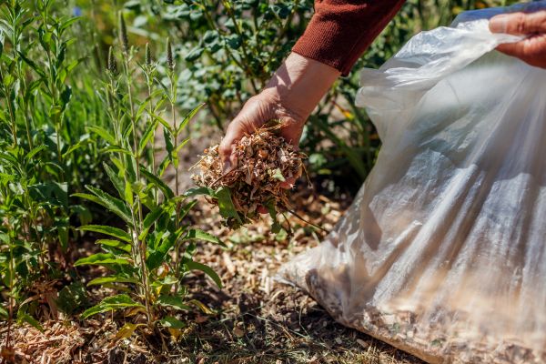 Wood Mulch Installation in Mechanicsville