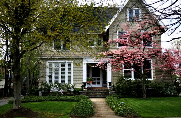 Ornamental Tree Planting in Mechanicsville
