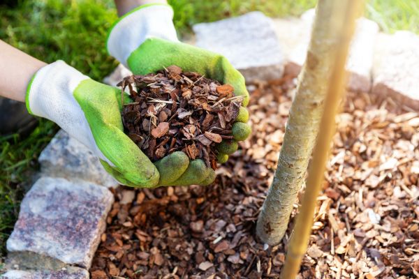Tree Bark Delivery in Mechanicsville