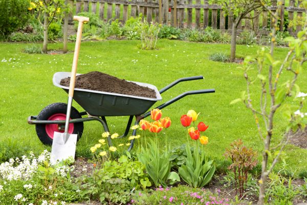 Spring Yard Renovation in Mechanicsville