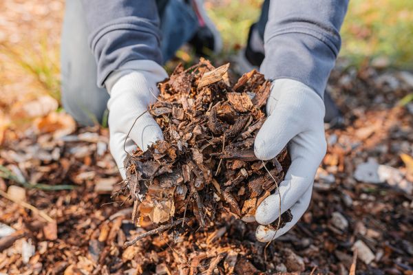 Shredded Mulch Installation in Mechanicsville