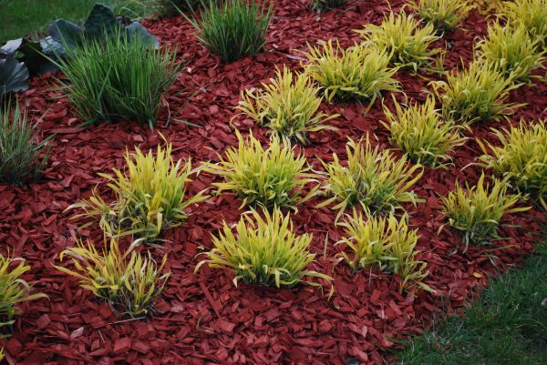 Red Mulch Installation in Mechanicsville