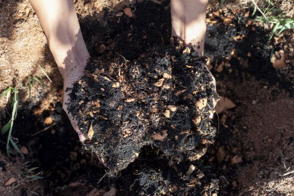 Organic Mulch Installation in Mechanicsville